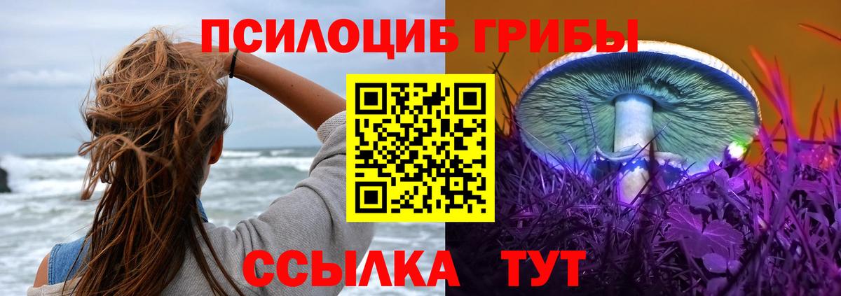 Рославль  Галлюциногенные грибы прущие грибы  Вход с VPN 